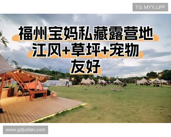 风筝:500字速览,他5年的牺牲,只为完成1个不可能的任务